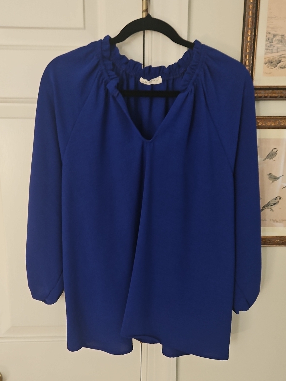 eesome Royal Blue Peasant Blouse with Ruched V Neckline